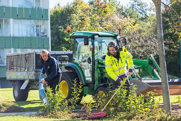 Två arbetare som rensar rabatten med traktor i bakgrunden