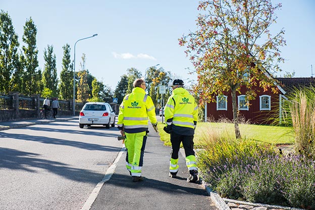 Medarbetare som går längs välskött trädgård